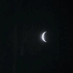 97免费乱伦熟女
