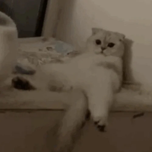 97免费乱伦熟女
